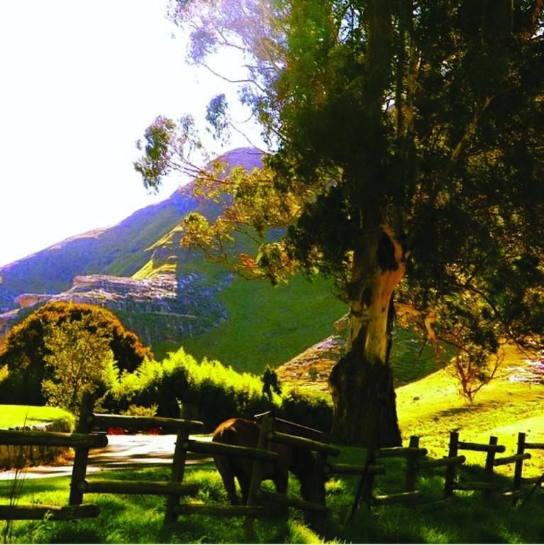 Lola'S Self Catering Accommodation Clarens Exterior foto